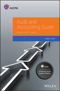 Auditing and Accounting Guide