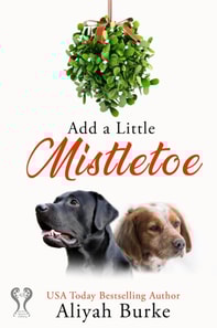 Add A Little Mistletoe
