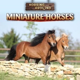 Miniature Horses