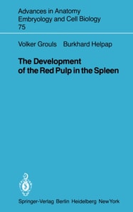 Development of the Red Pulp in the Spleen