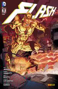 Flash - Bd. 11
