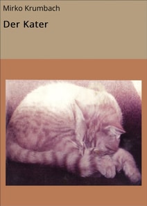 Der Kater