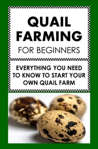 Quail Farming For Beginners: Everything You Need To Know  To Start Your Own Quail Farm