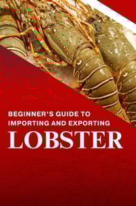 Beginners Guide to Importing and Exporting Lobster