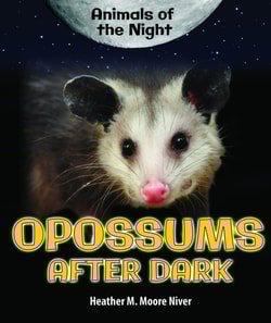 Opossums After Dark