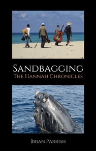Sandbagging: The Hannah Chronicles