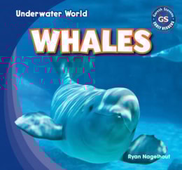 Whales
