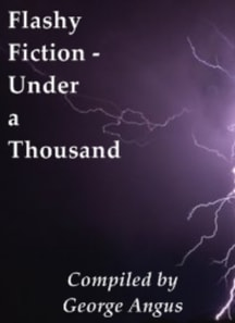 Flashy Fiction: Under A Thousand
