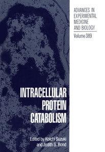Intracellular Protein Catabolism