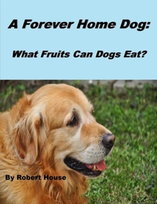 Forever Home Dog:What Fruits Can Dogs Eat?