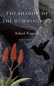 Shadow of the Hummingbird