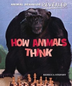 How Animals Think