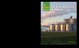 Pros and Cons of Biofuel