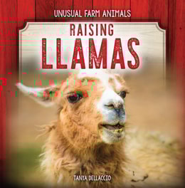 Raising Llamas
