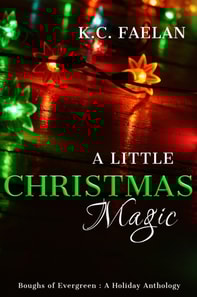 Little Christmas Magic