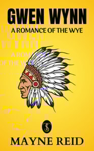 Gwen Wynn: A Romance of the Wye