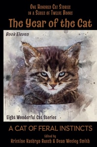 Year of the Cat: A Cat of Feral Instincts