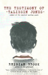 Testimony of Taliesin Jones