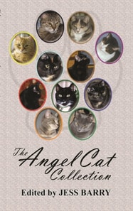Angel Cat Collection