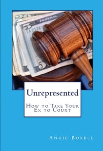 Unrepresented - How to Take Your Ex to Court