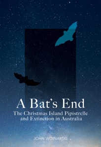 Bat's End
