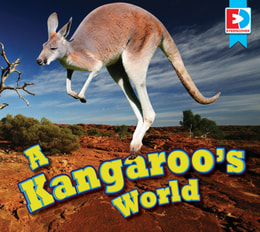 Kangaroo's World