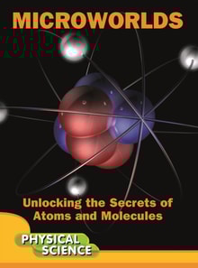 Microworlds