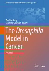 Drosophila Model in Cancer