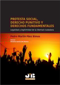 Protesta social, Derecho punitivo y derechos fundamentales