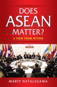 Does ASEAN Matter?