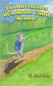 Adventures Of A Mouse Called Meadow