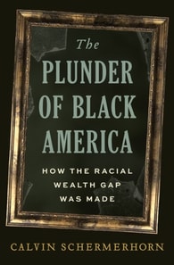 Plunder of Black America