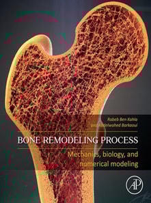 Bone Remodeling Process