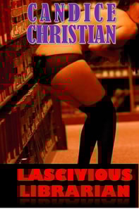 Lascivious Librarian