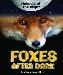 Foxes After Dark