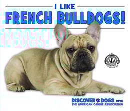 I Like French Bulldogs!