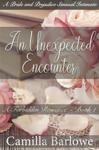 Unexpected Encounter:A Pride and Prejudice Sensual Intimate