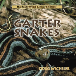 Garter Snakes