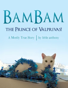 Bambam, the Prince of Valprivas!