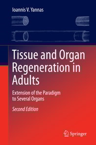 Tissue and Organ Regeneration in Adults