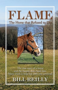 Flame - the Horse That Refused to Die
