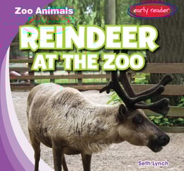 Reindeer at the Zoo