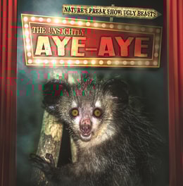 Unsightly Aye-Aye