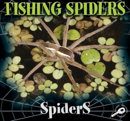 Fishing Spiders