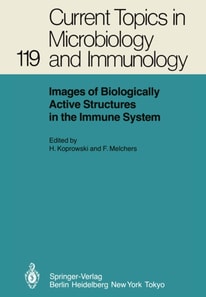 Images of Biologically Active Structures in the Immune System
