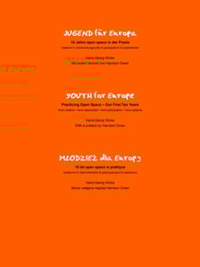 Jugend für Europa, 10 Jahre open space Praxis