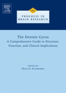 Dentate Gyrus: A Comprehensive Guide to Structure, Function, and Clinical Implications