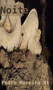 Noite