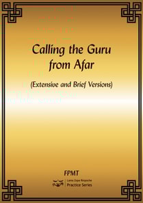 Calling the Guru from Afar eBook