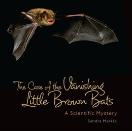 Case of the Vanishing Little Brown Bats